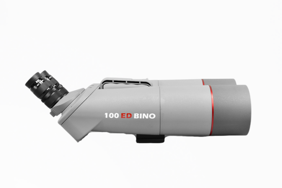 100 ED BINO 45